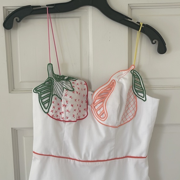 Lela Rose Cotton Poplin Fruit Embroidered Drop Waist Dress - Picture 2 of 7